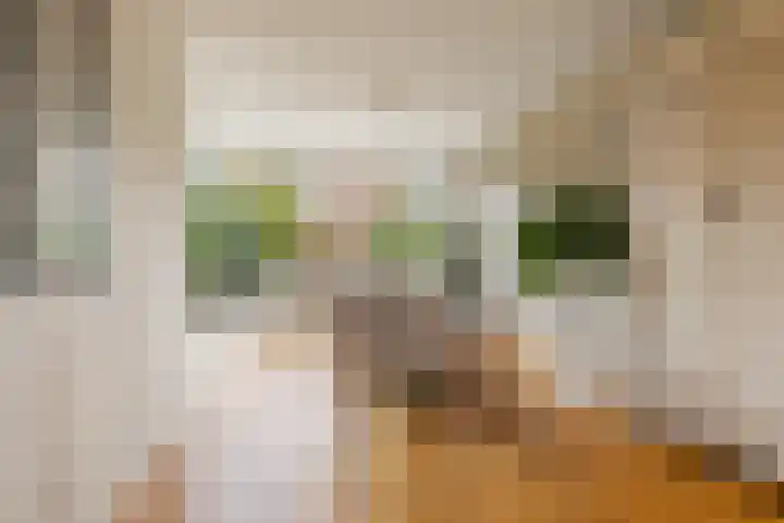 Diopter 202 Amsterdam thumbnail 7