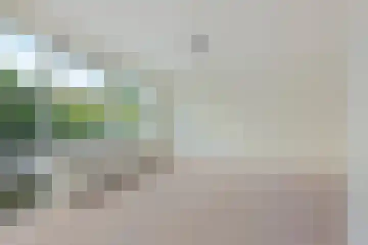 Diopter 228 Amsterdam thumbnail 17