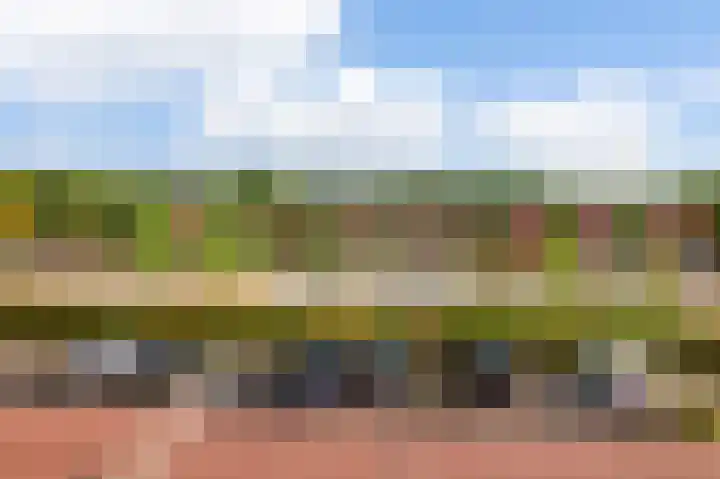 Diopter 228 Amsterdam thumbnail 29