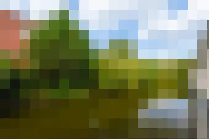 Diopter 228 Amsterdam thumbnail 31