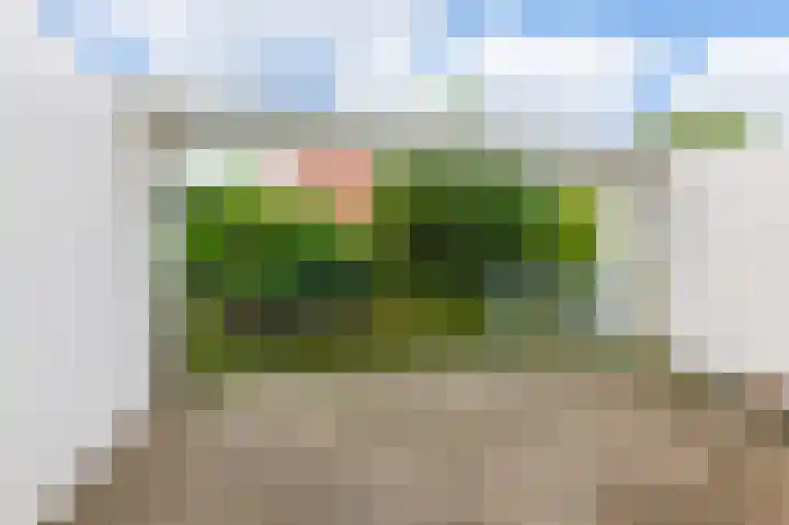 Diopter 228 Amsterdam thumbnail 8
