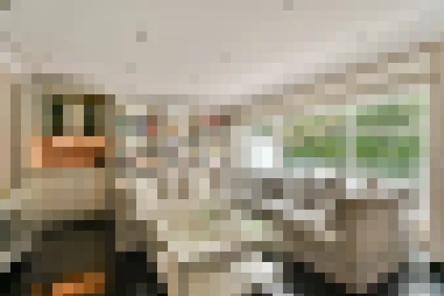 Diopter 52 Amsterdam thumbnail 12