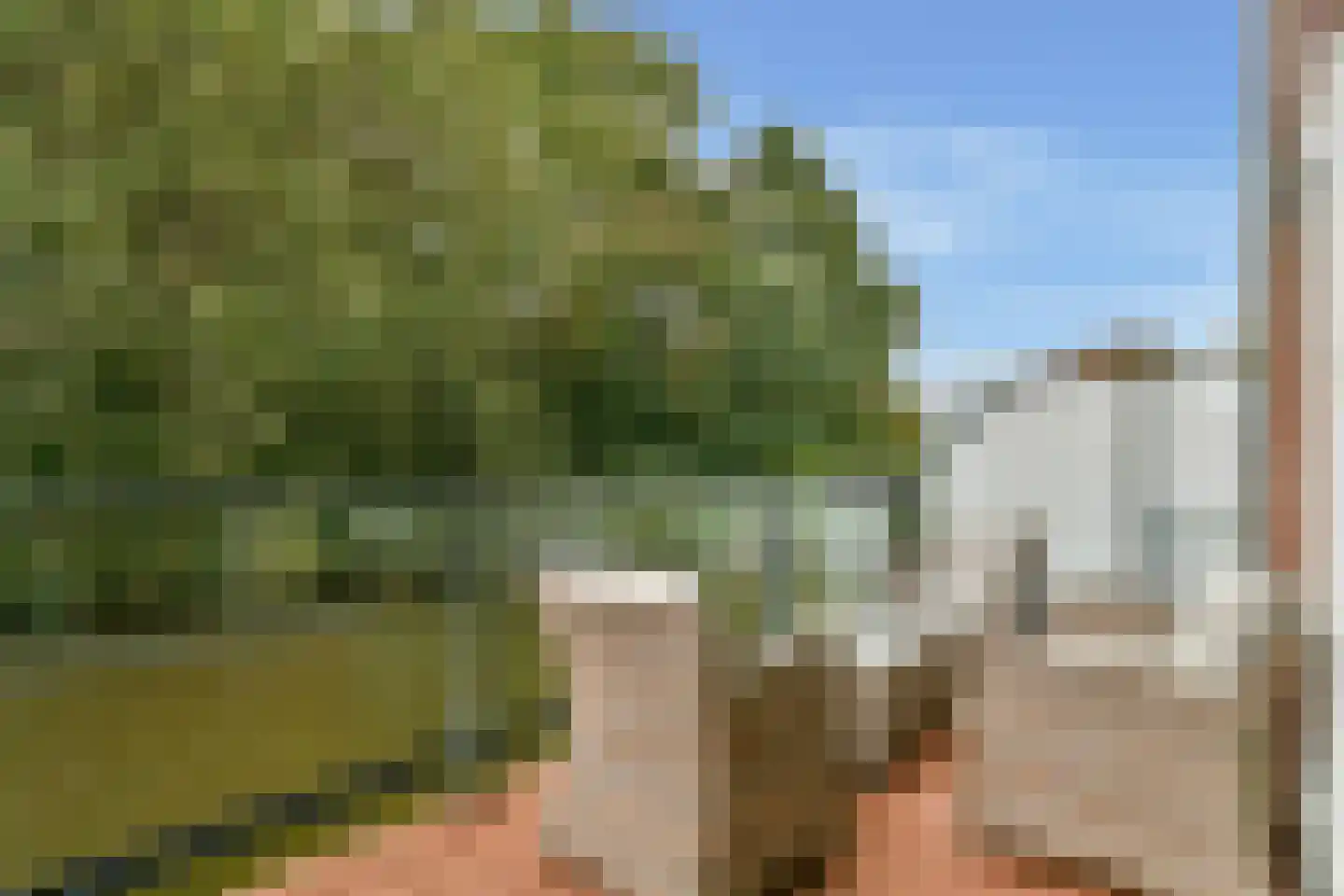 Diopter 52 Amsterdam thumbnail 13