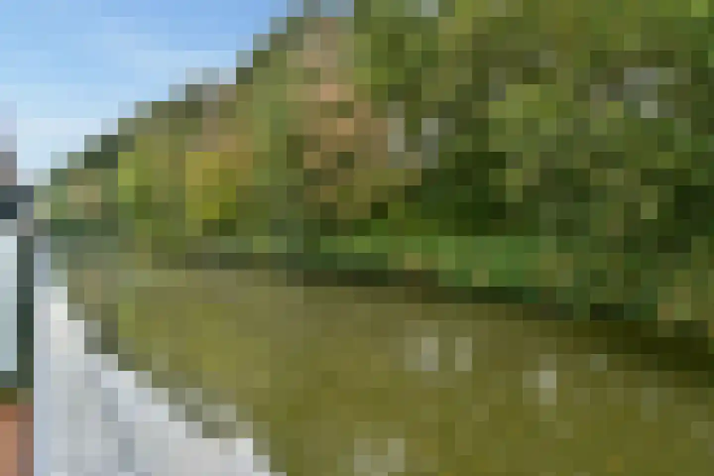 Diopter 52 Amsterdam thumbnail 14