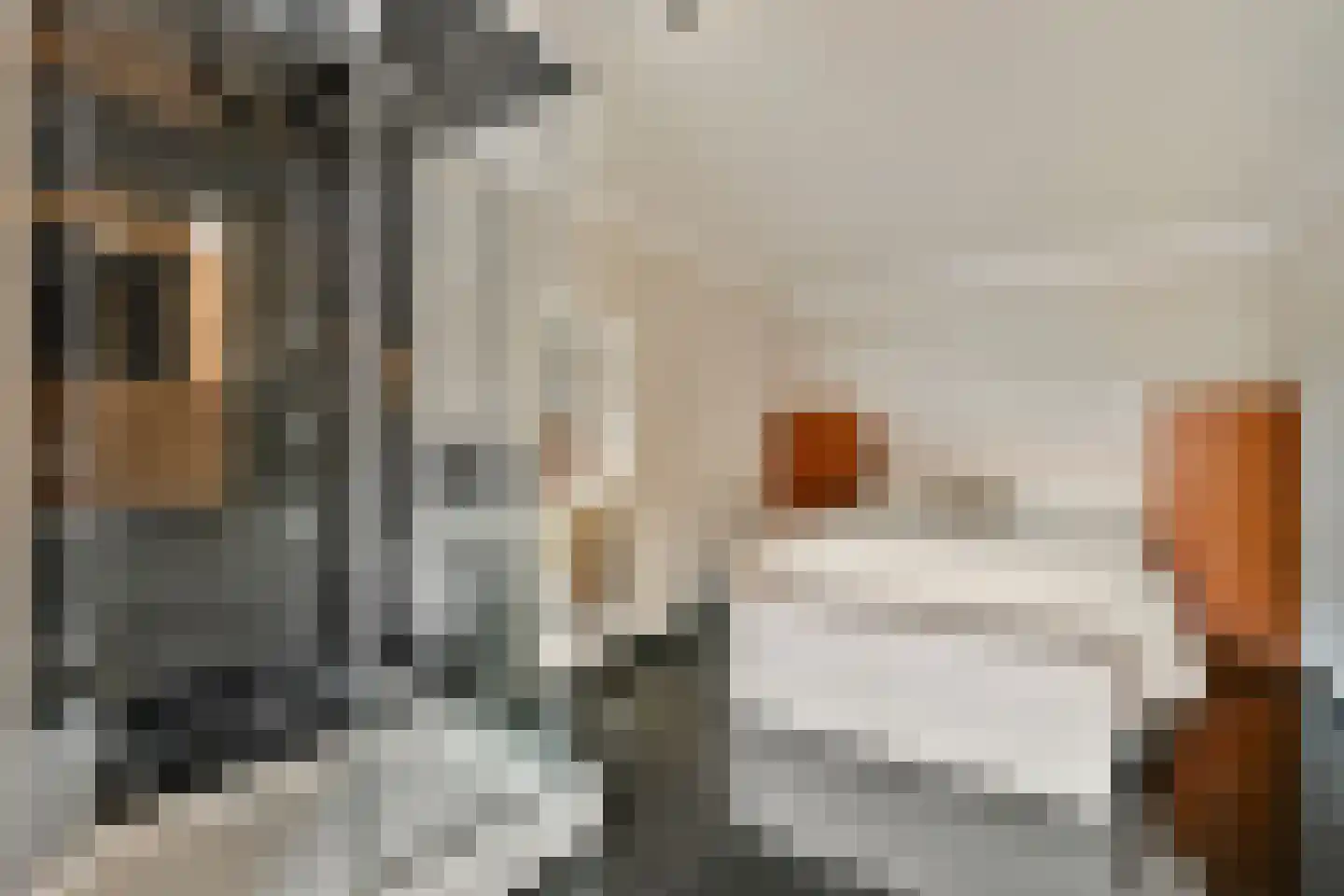 Diopter 52 Amsterdam thumbnail 17