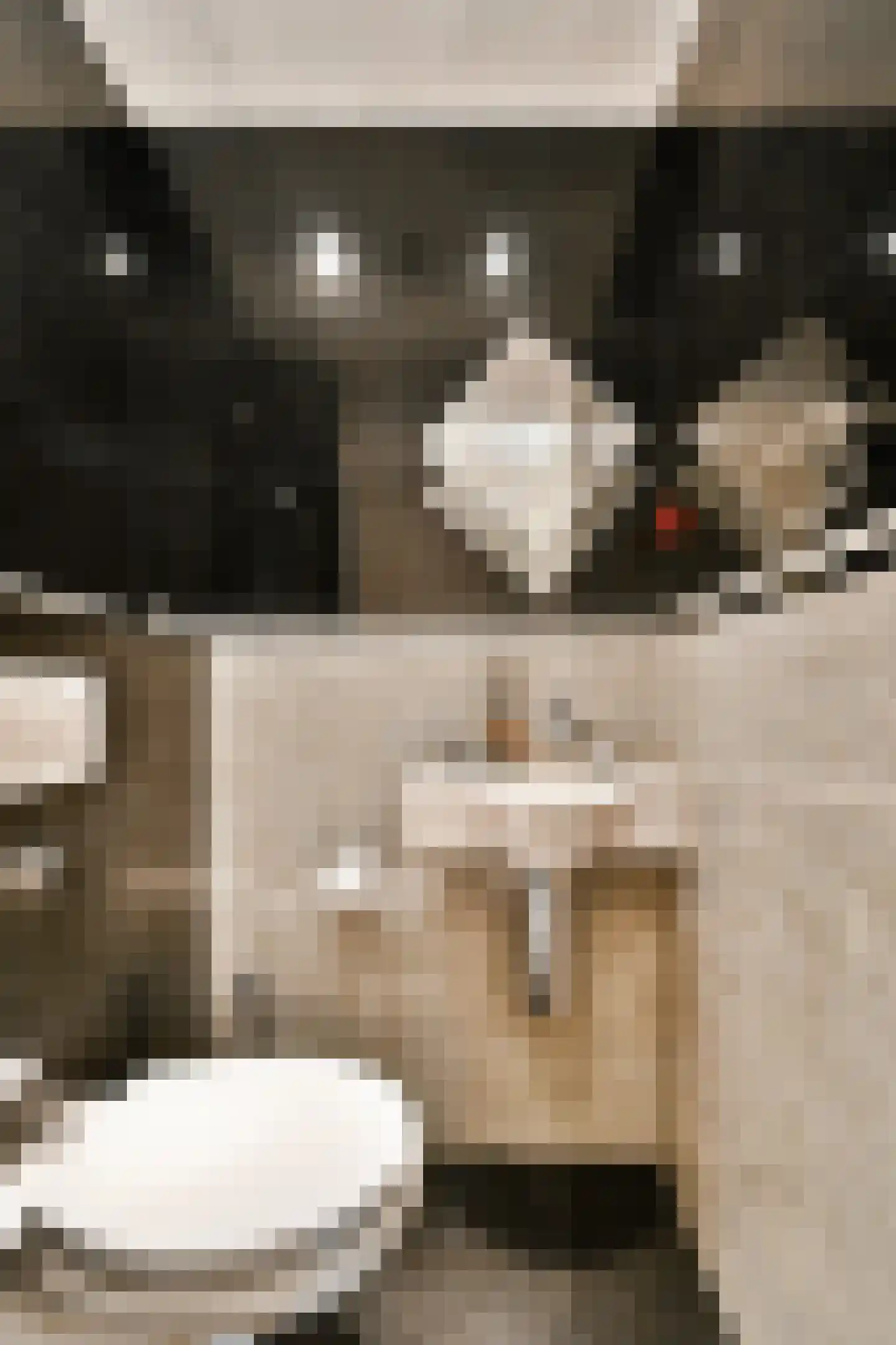 Diopter 52 Amsterdam thumbnail 19