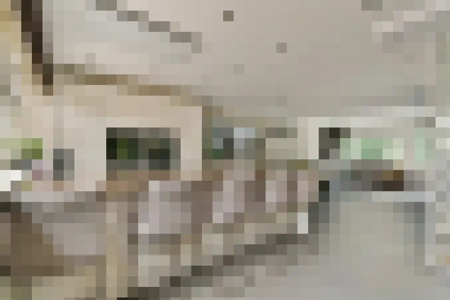 Diopter 52 Amsterdam thumbnail 23