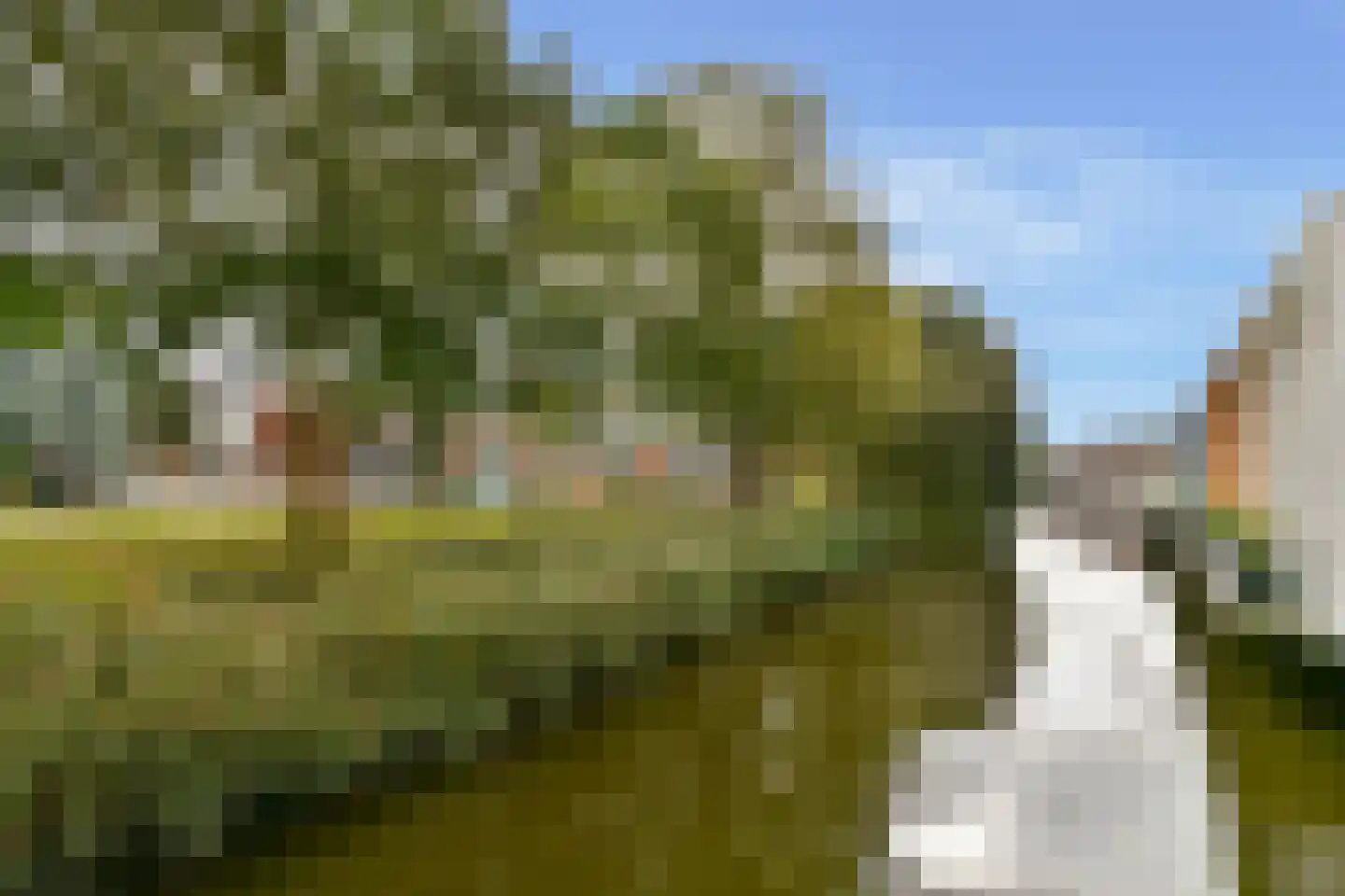 Diopter 52 Amsterdam thumbnail 35