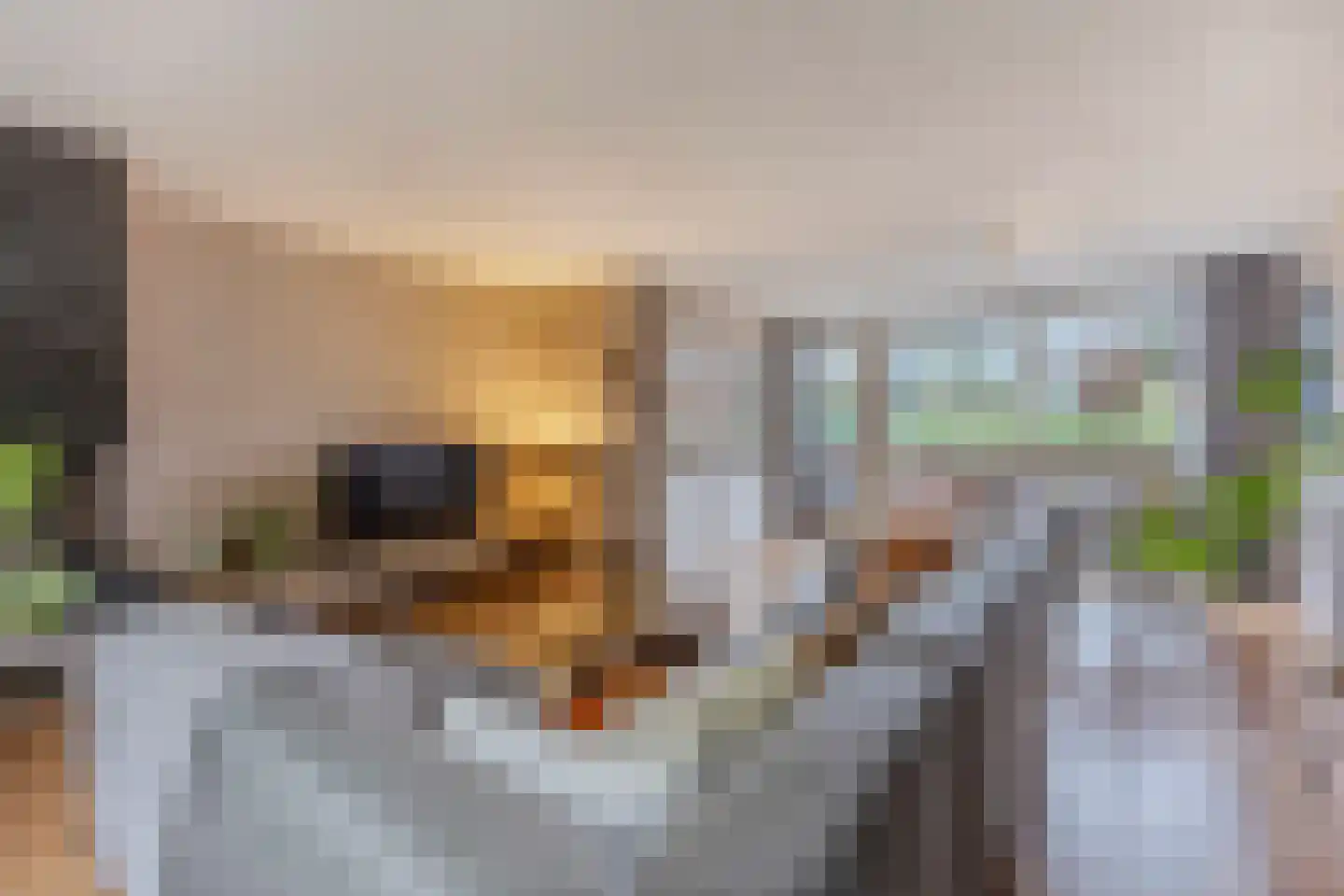 Diopter 64 Amsterdam thumbnail 18