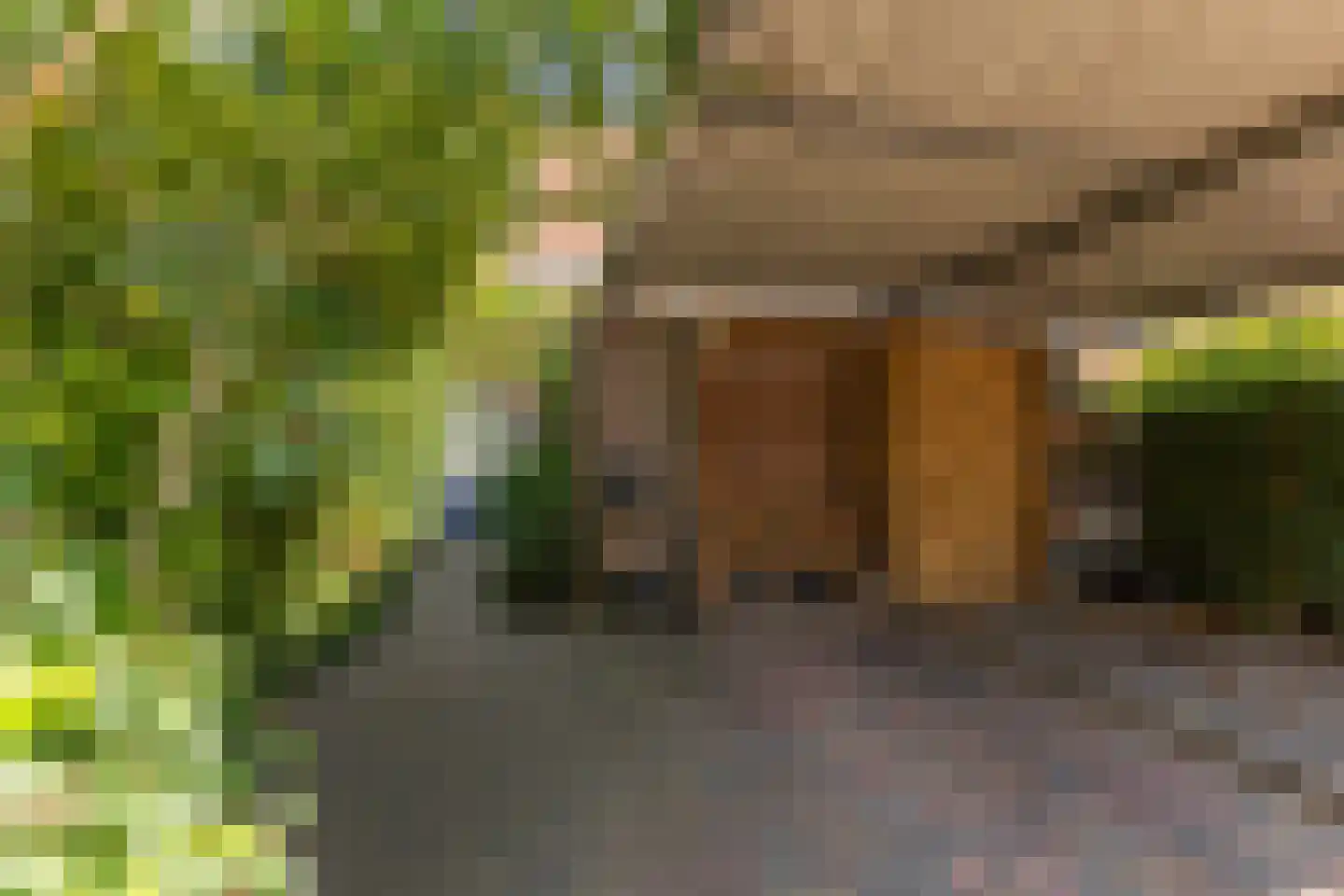 Diopter 64 Amsterdam thumbnail 35