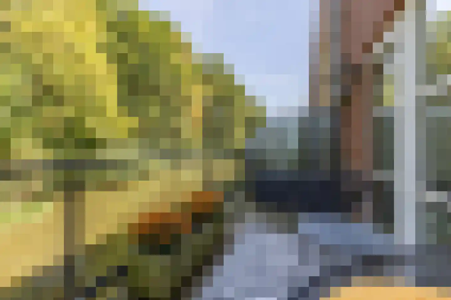 Diopter 64 Amsterdam thumbnail 36