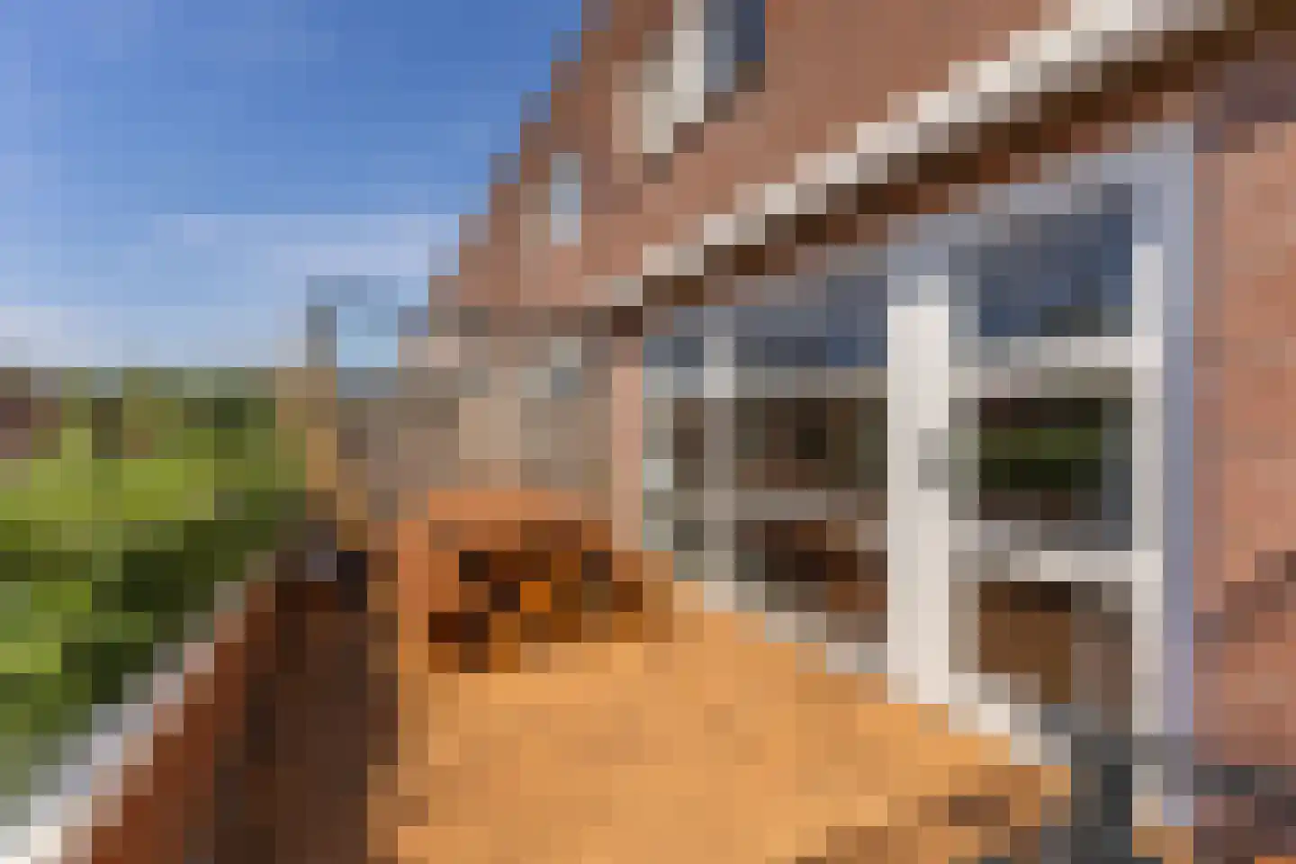 Diopter 64 Amsterdam thumbnail 38