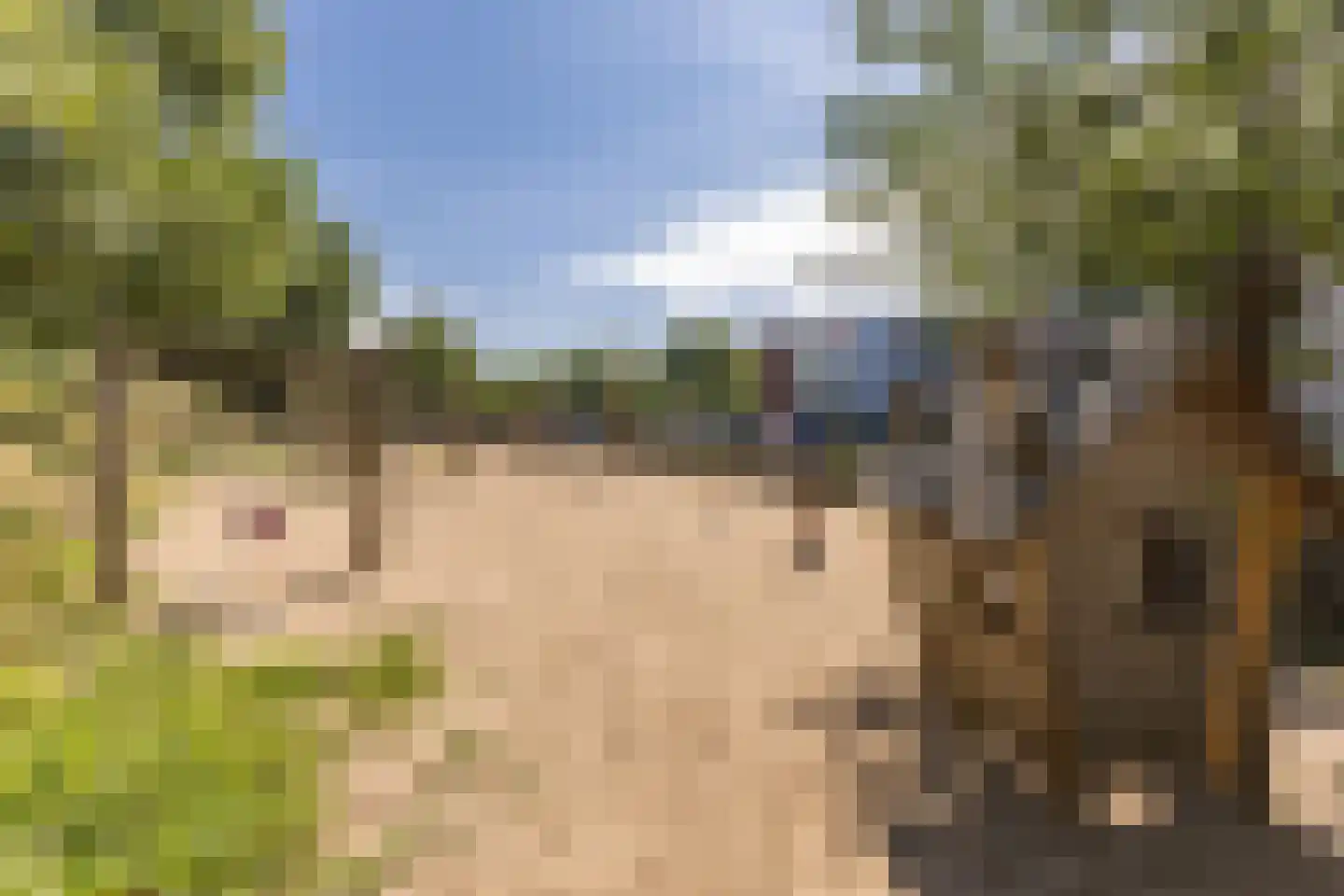 Diopter 64 Amsterdam thumbnail 41