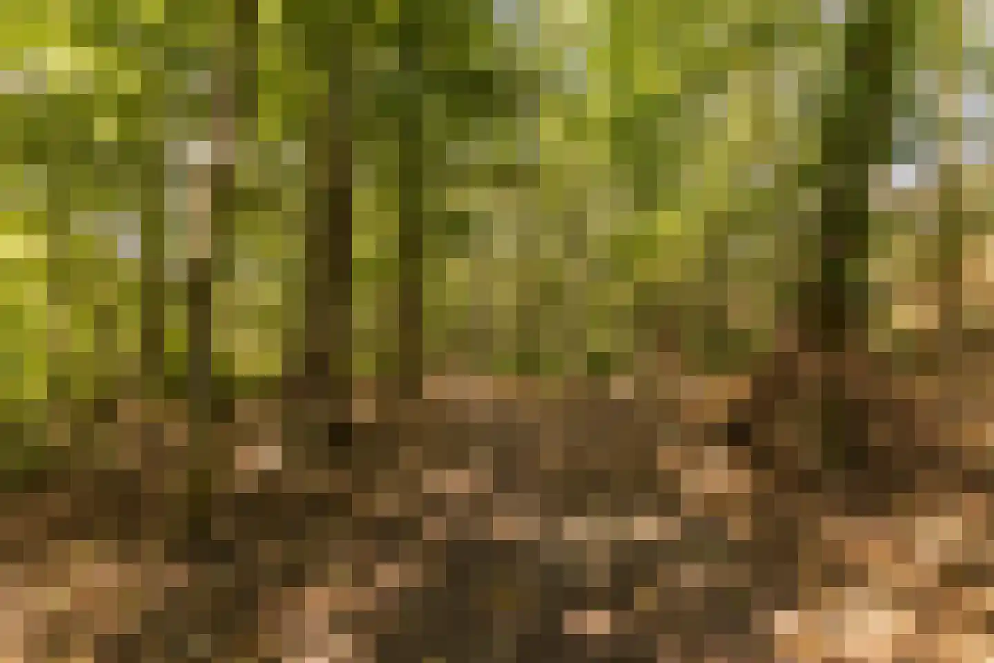 Diopter 64 Amsterdam thumbnail 42