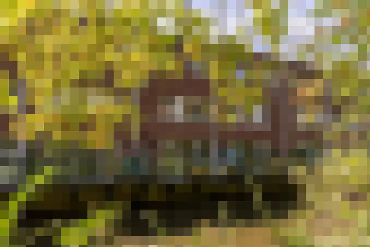 Diopter 64 Amsterdam thumbnail 43