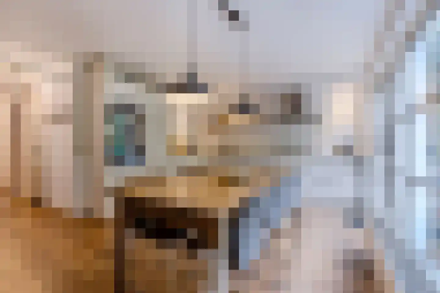 Diopter 64 Amsterdam thumbnail 5