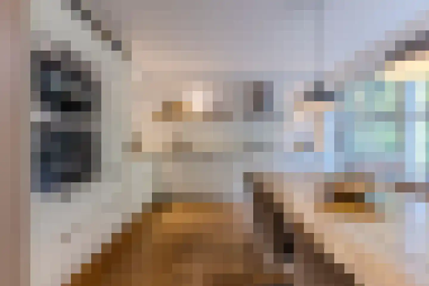 Diopter 64 Amsterdam thumbnail 6