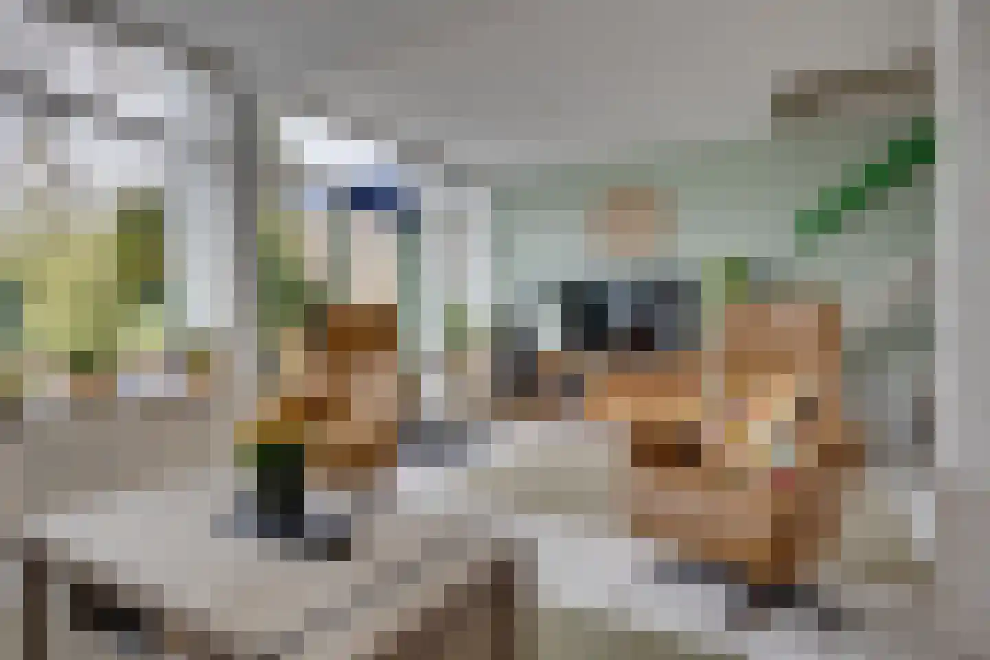 Dioriet 12 Leusden thumbnail 10