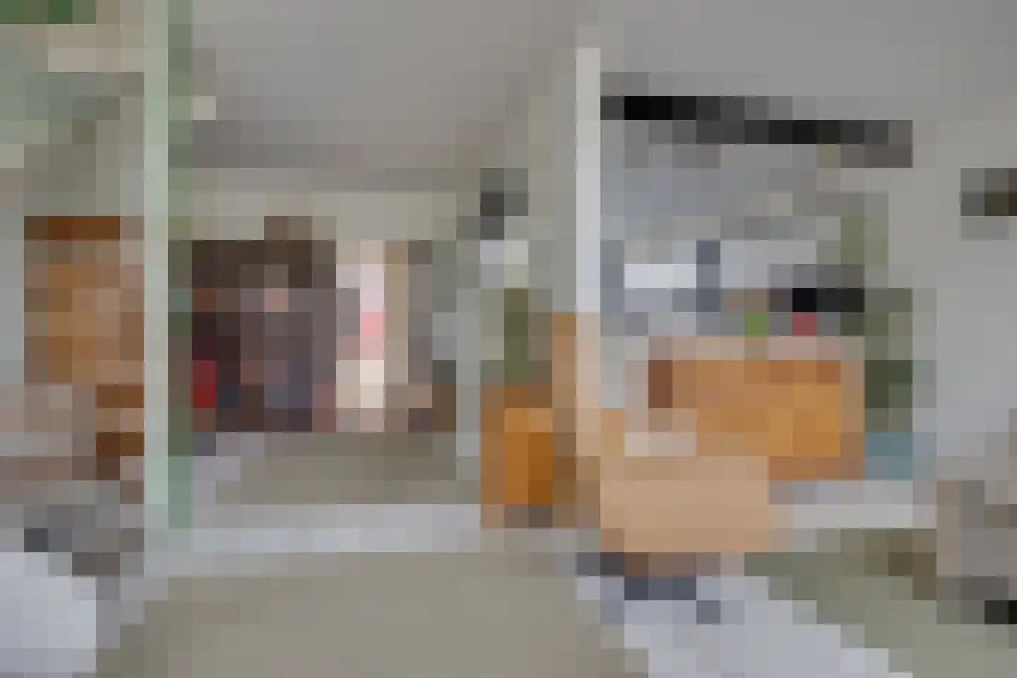Dioriet 12 Leusden thumbnail 12