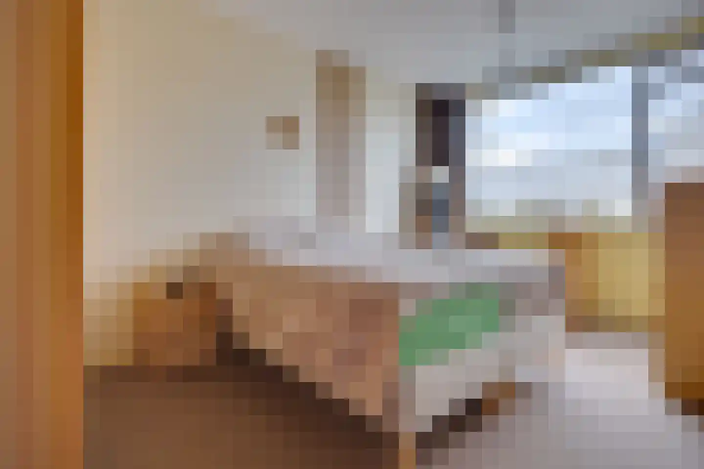 Dioriet 12 Leusden thumbnail 14