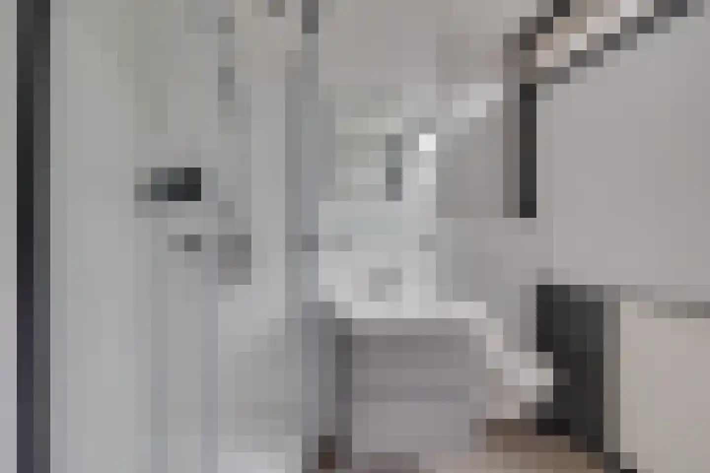 Dioriet 12 Leusden thumbnail 20