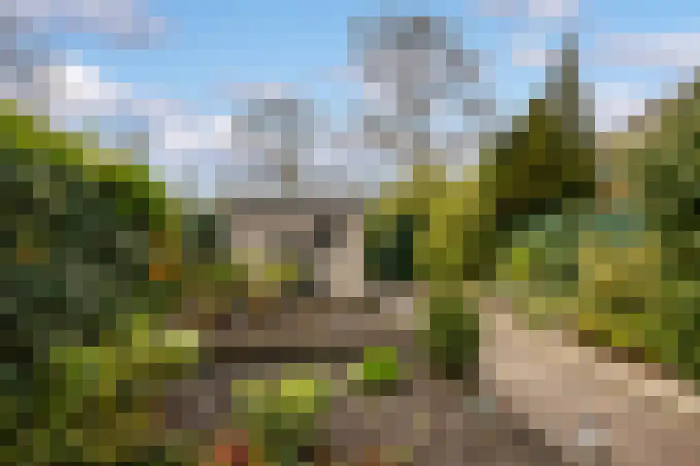 Dioriet 12 Leusden thumbnail 26