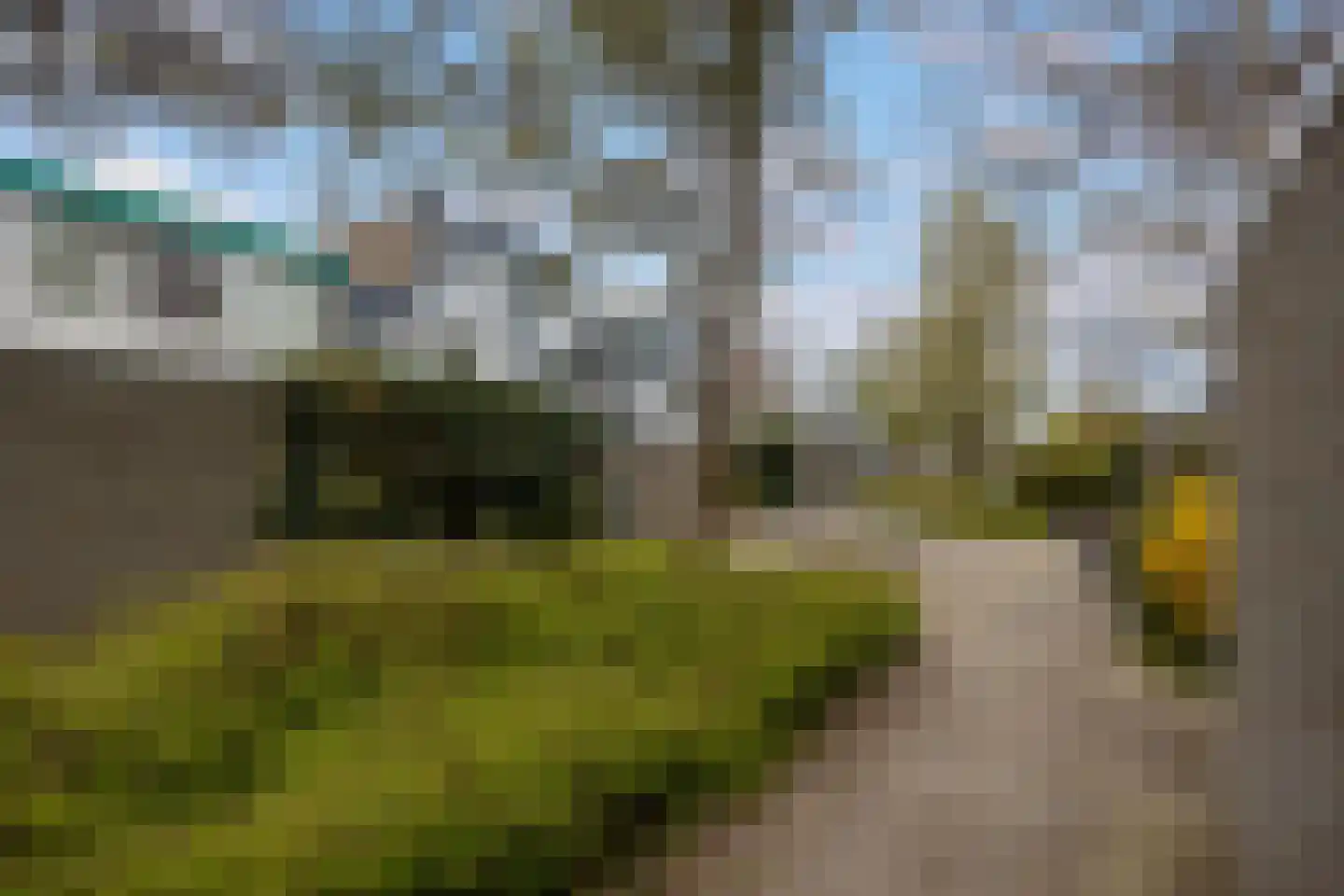 Dioriet 12 Leusden thumbnail 28