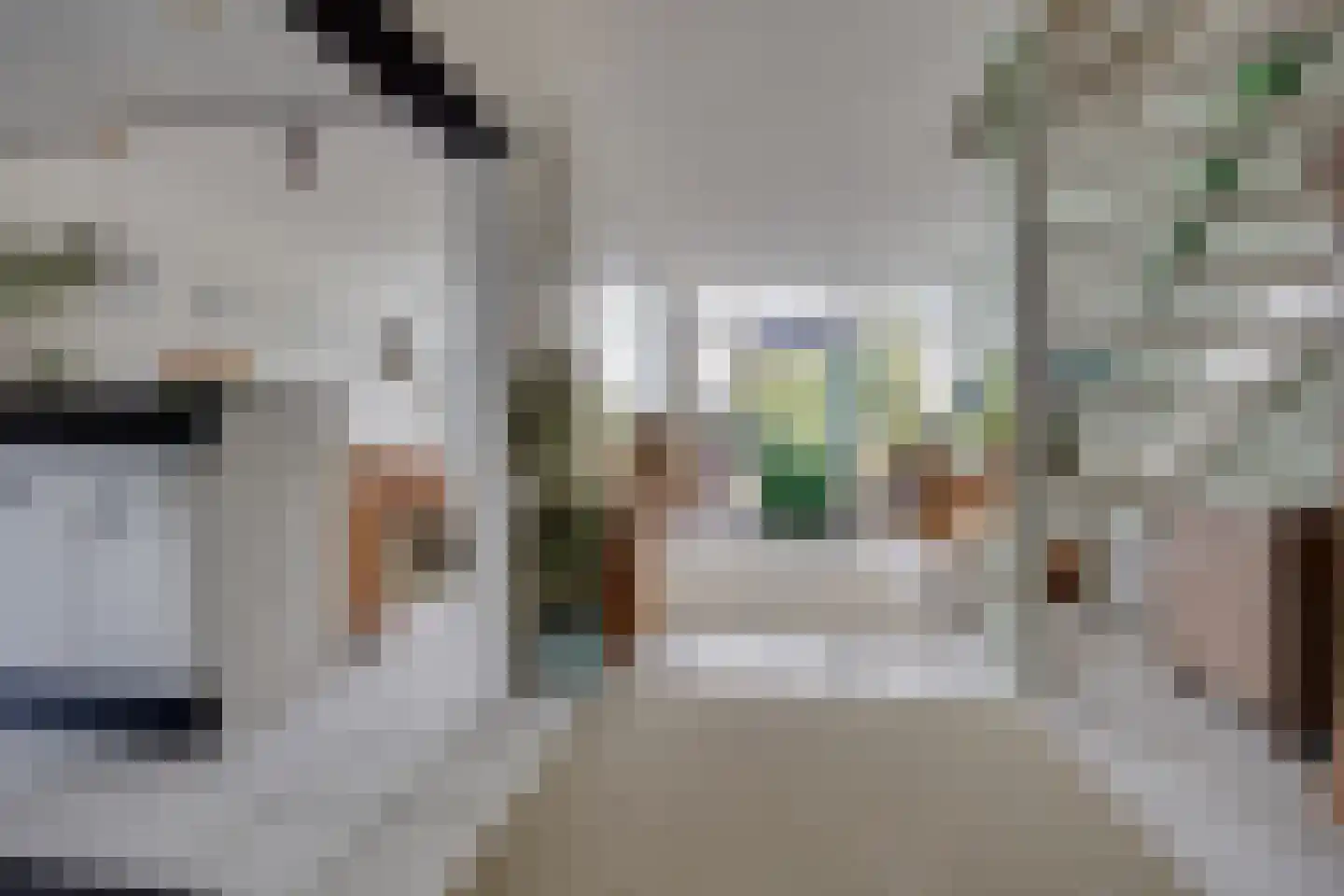 Dioriet 12 Leusden thumbnail 4