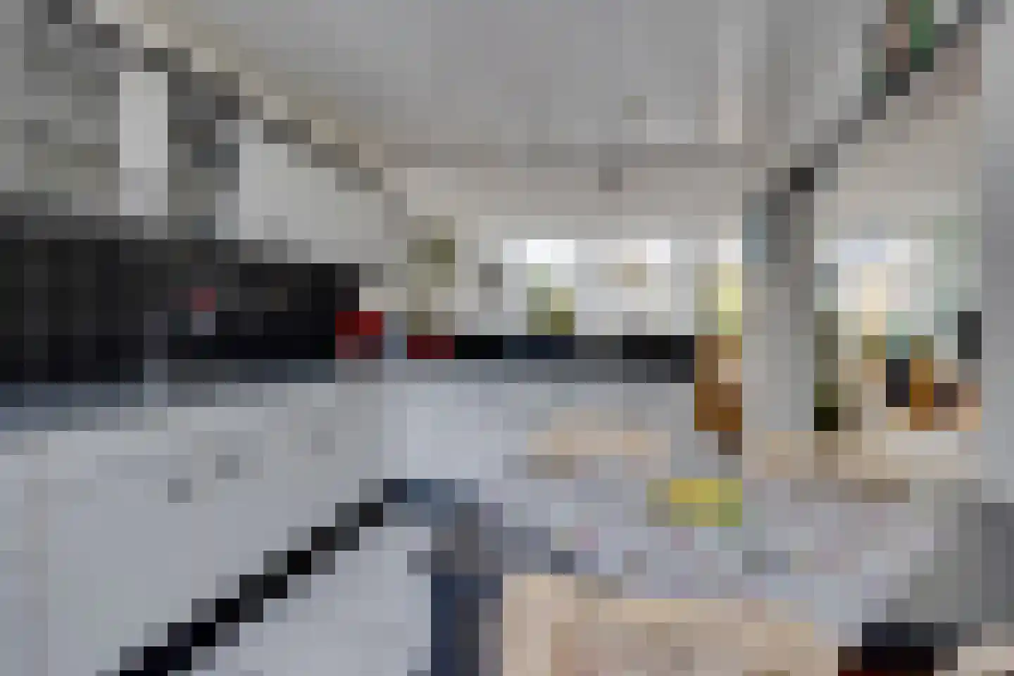 Dioriet 12 Leusden thumbnail 8