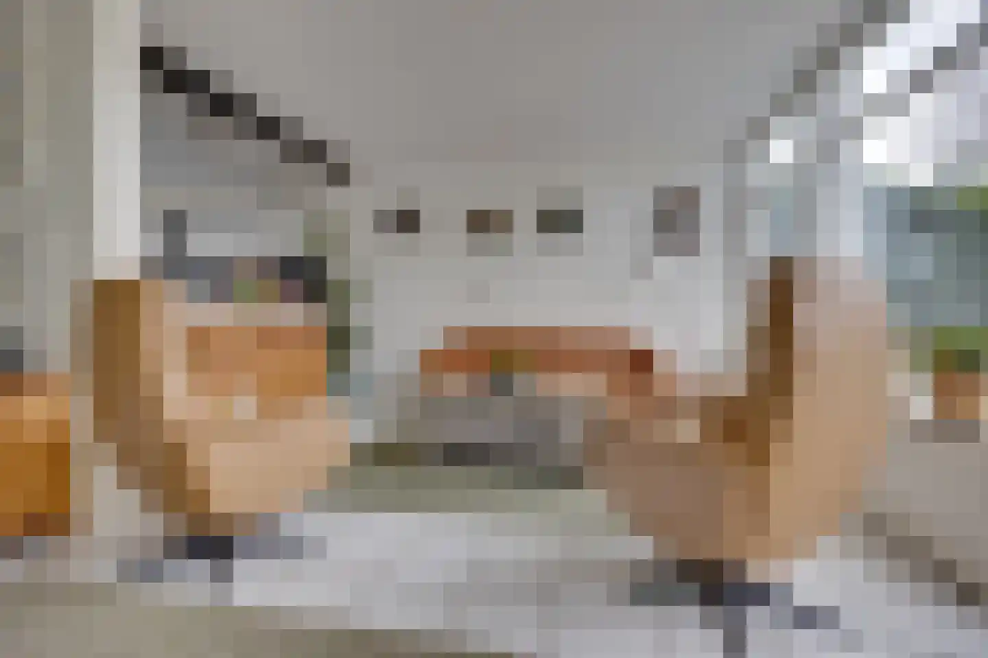 Dioriet 12 Leusden thumbnail 9