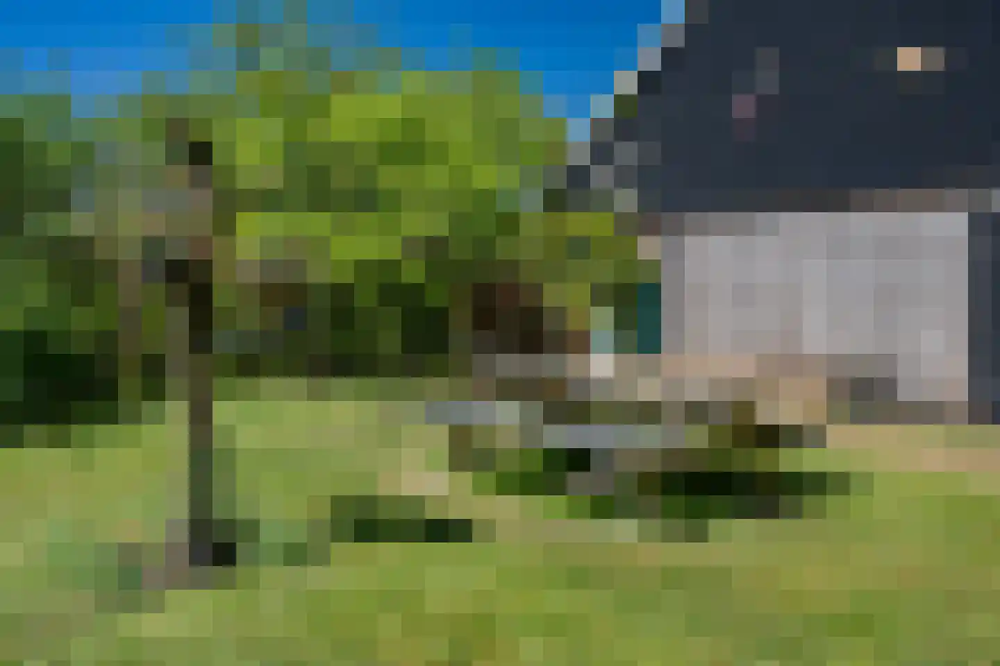 Diphoorn 3 Diphoorn thumbnail 11