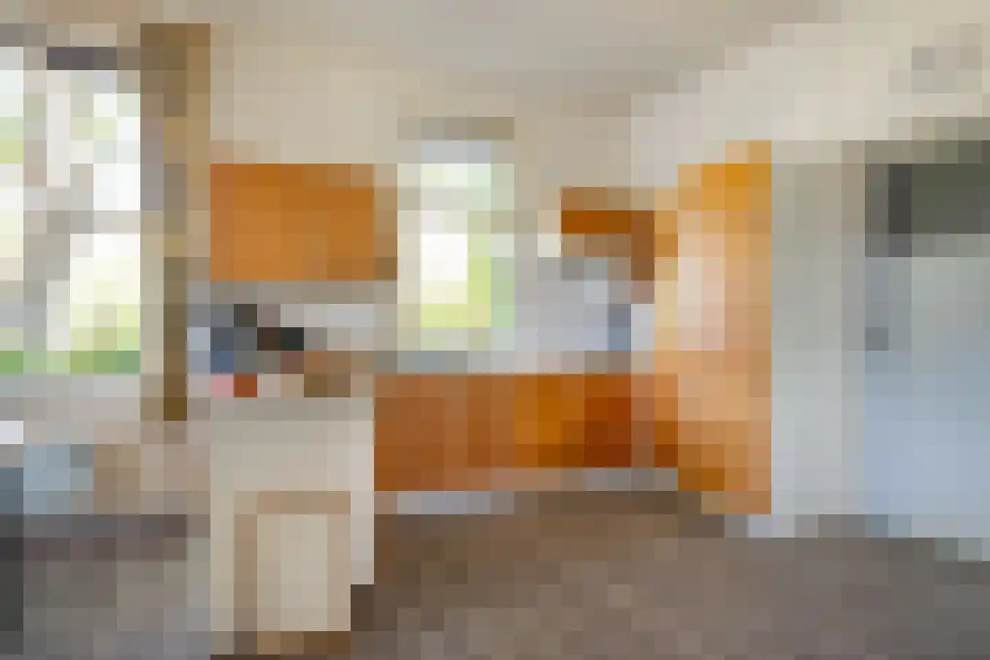 Diphoorn 3 Diphoorn thumbnail 15