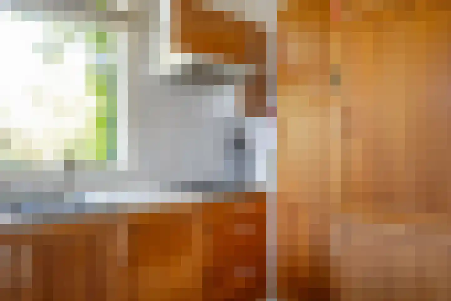 Diphoorn 3 Diphoorn thumbnail 17