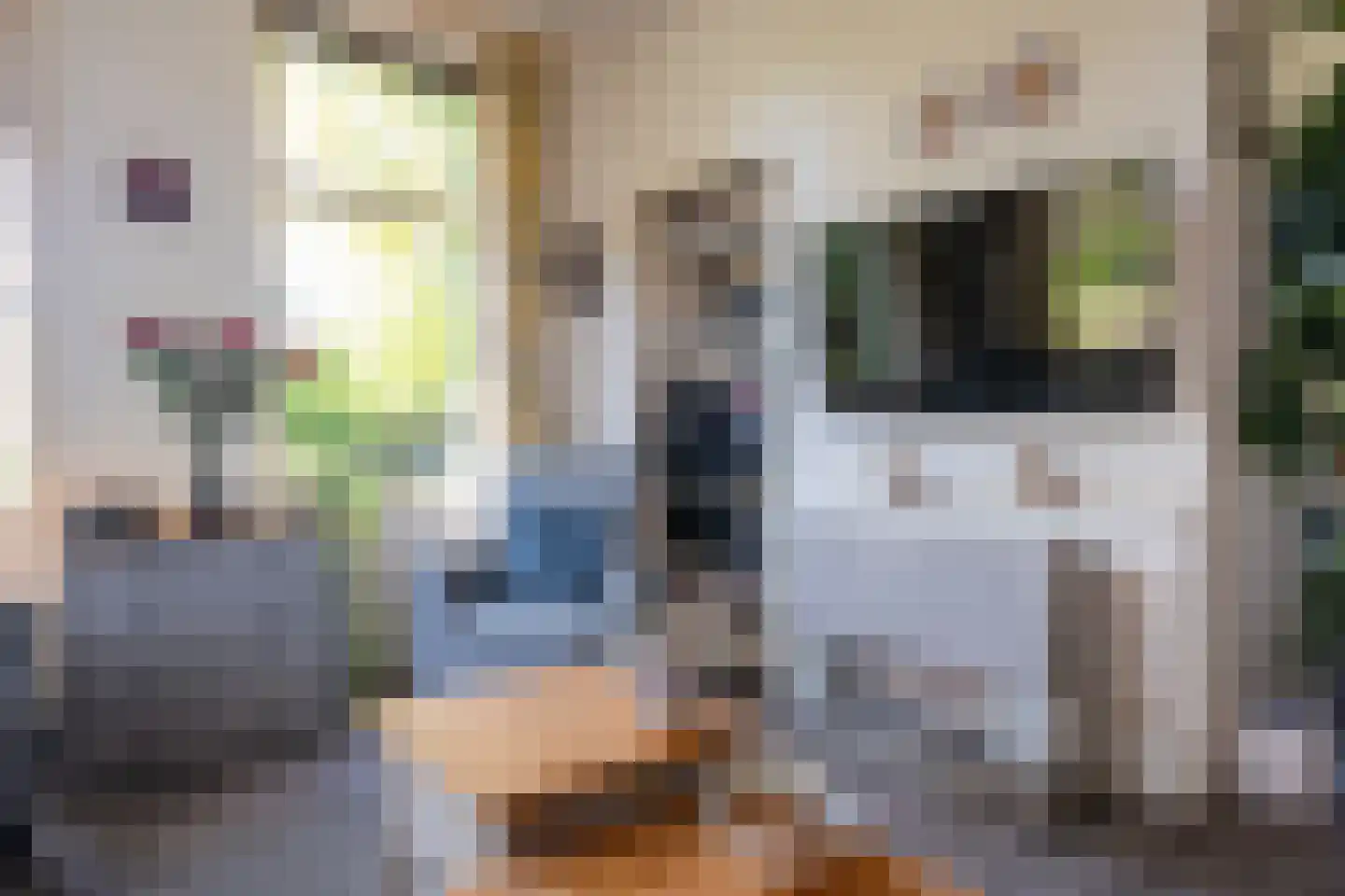Diphoorn 3 Diphoorn thumbnail 26