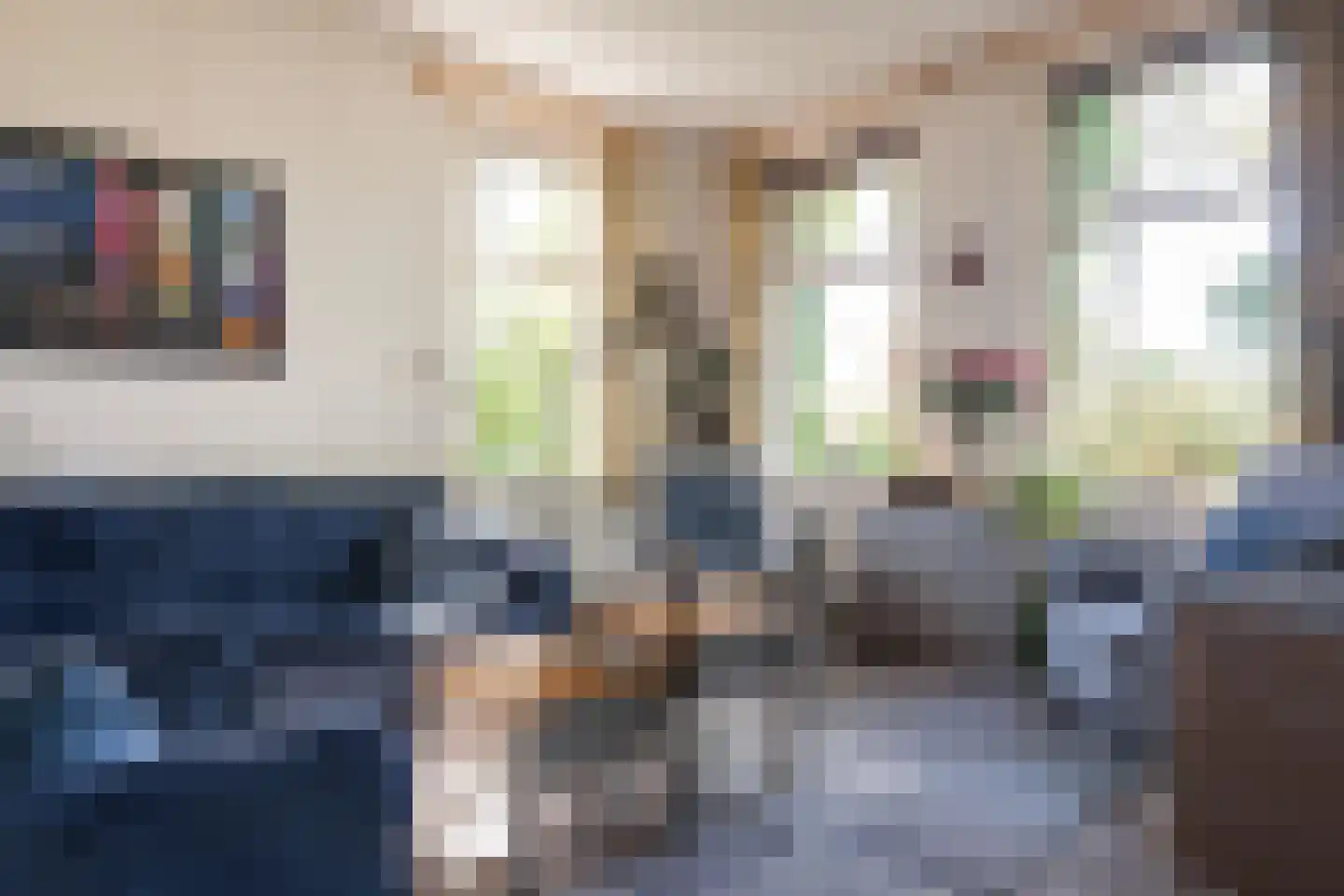 Diphoorn 3 Diphoorn thumbnail 27