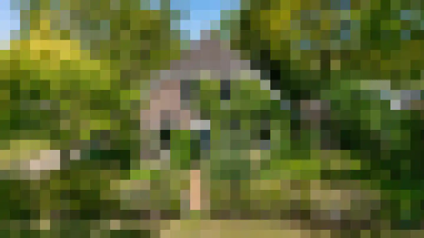 Diphoorn 3 Diphoorn foto 3