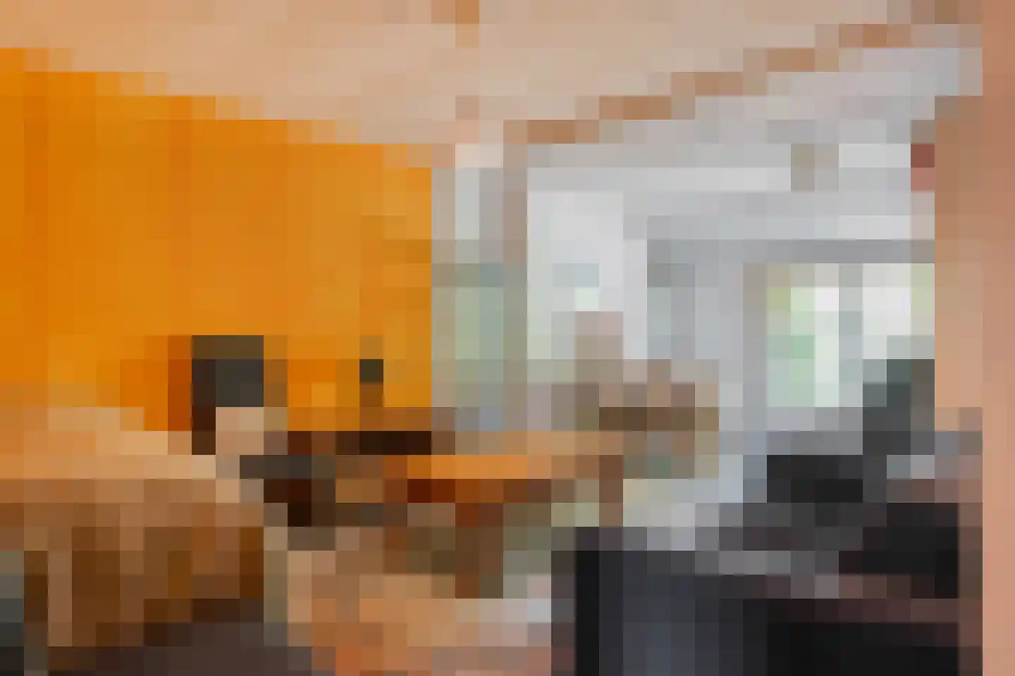 Diphoorn 3 Diphoorn thumbnail 33