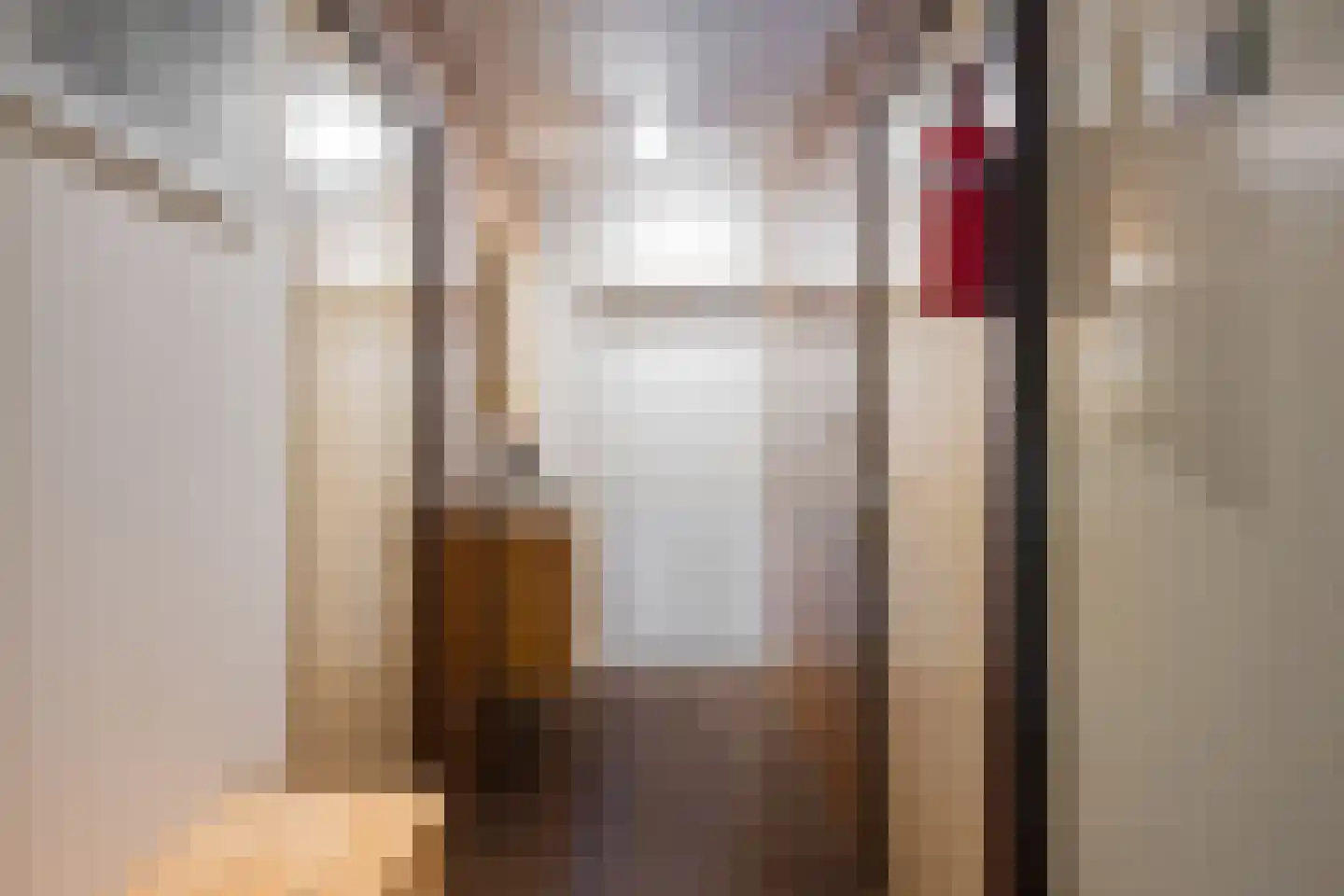 Diphoorn 3 Diphoorn thumbnail 45
