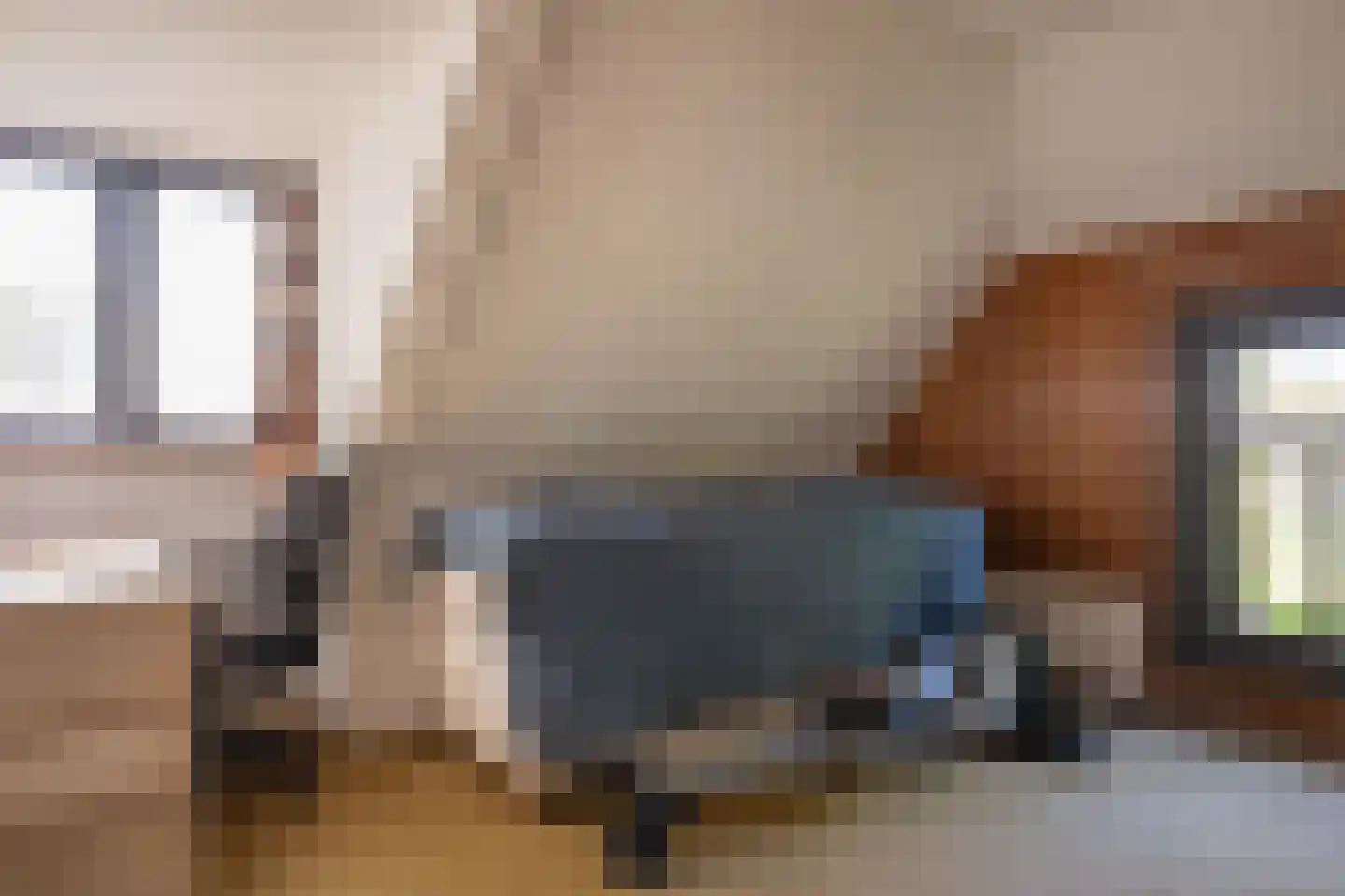 Diphoorn 3 Diphoorn thumbnail 46