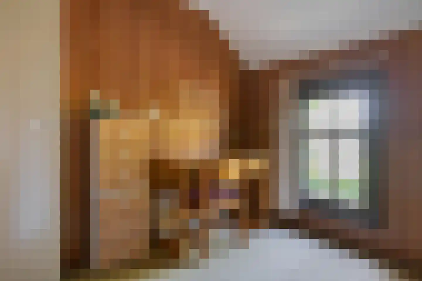 Diphoorn 3 Diphoorn thumbnail 48