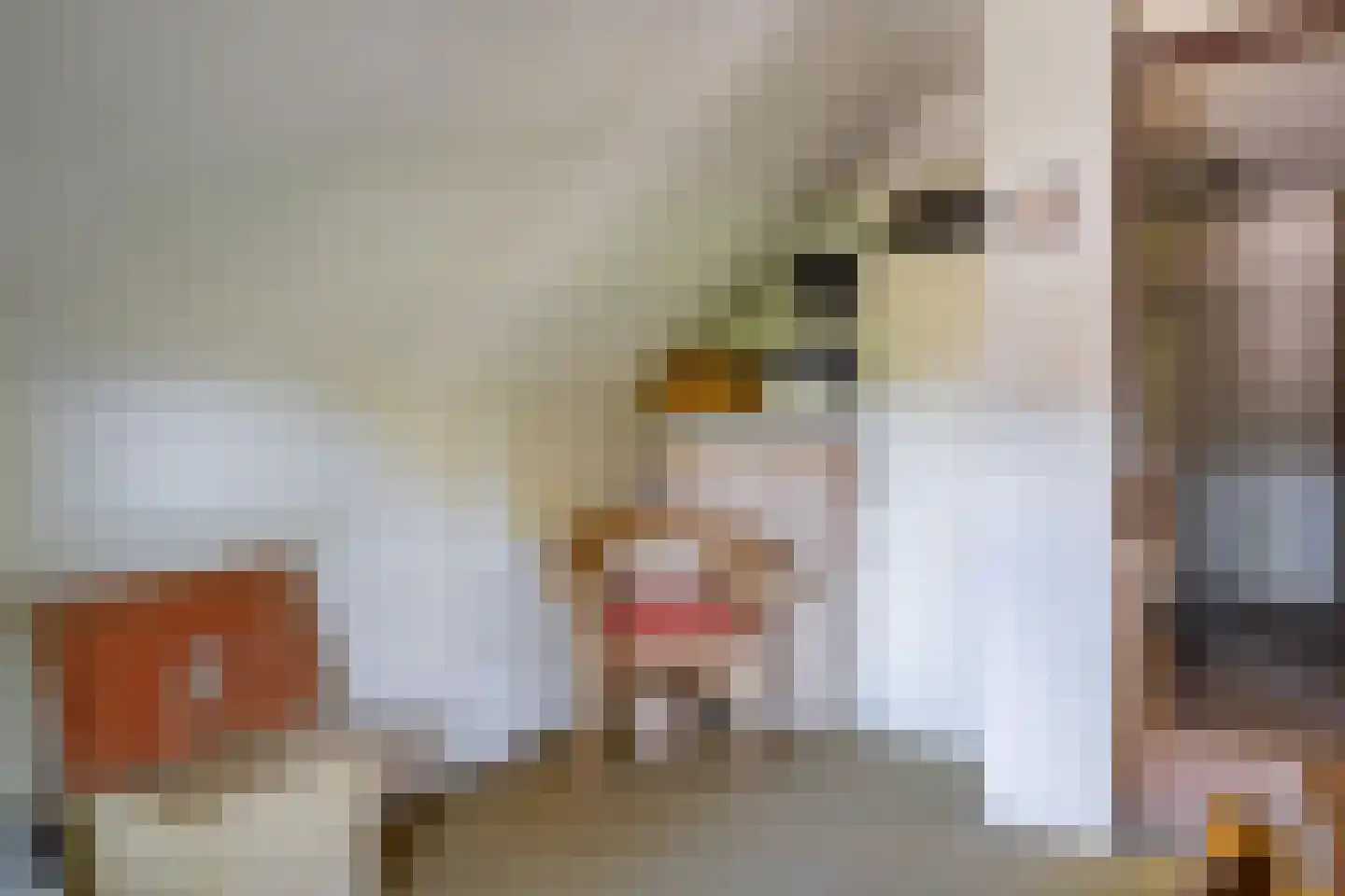 Diphoorn 3 Diphoorn thumbnail 49