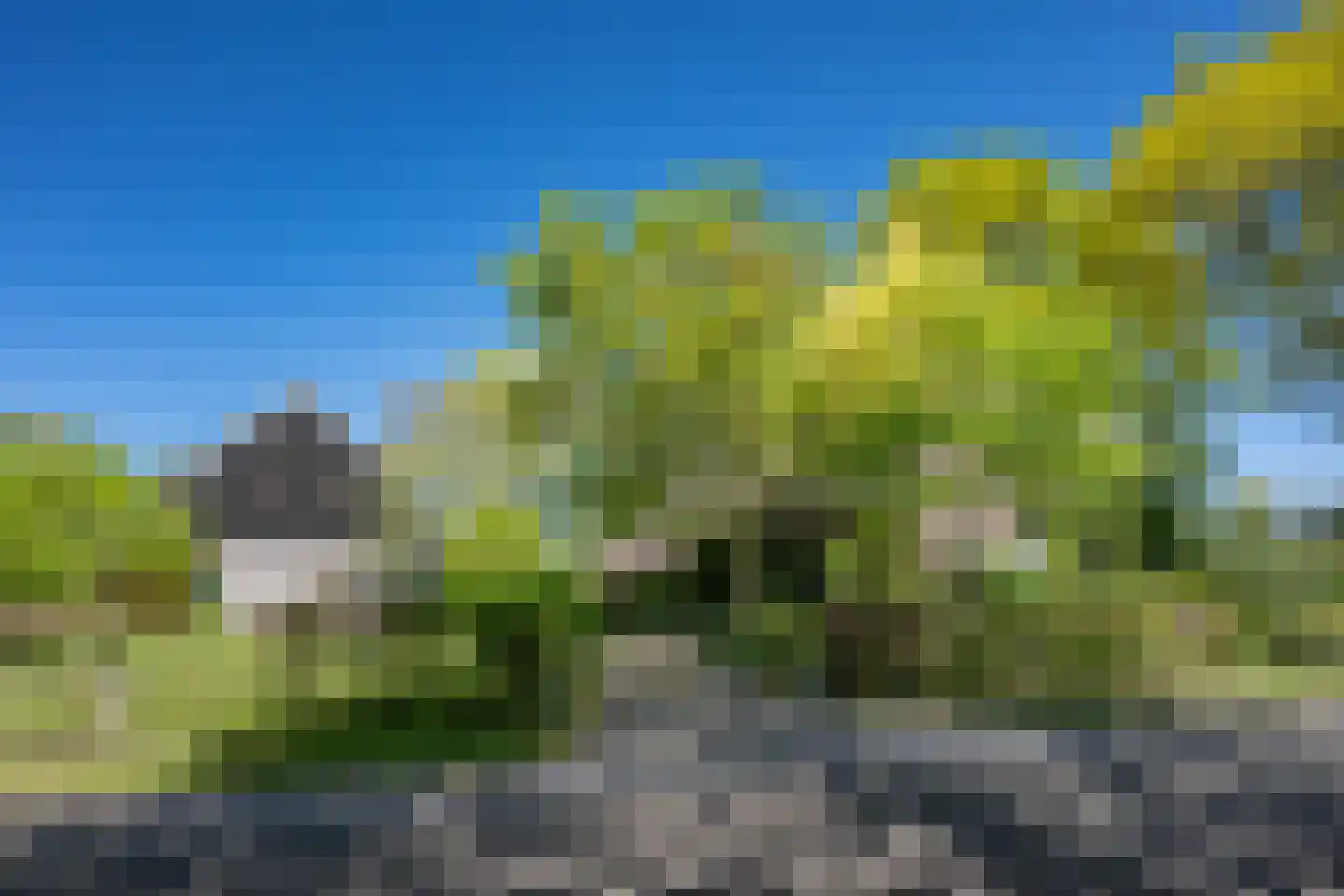 Diphoorn 3 Diphoorn thumbnail 5