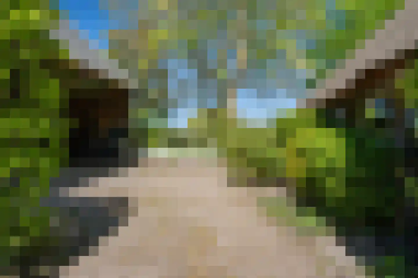 Diphoorn 3 Diphoorn thumbnail 50