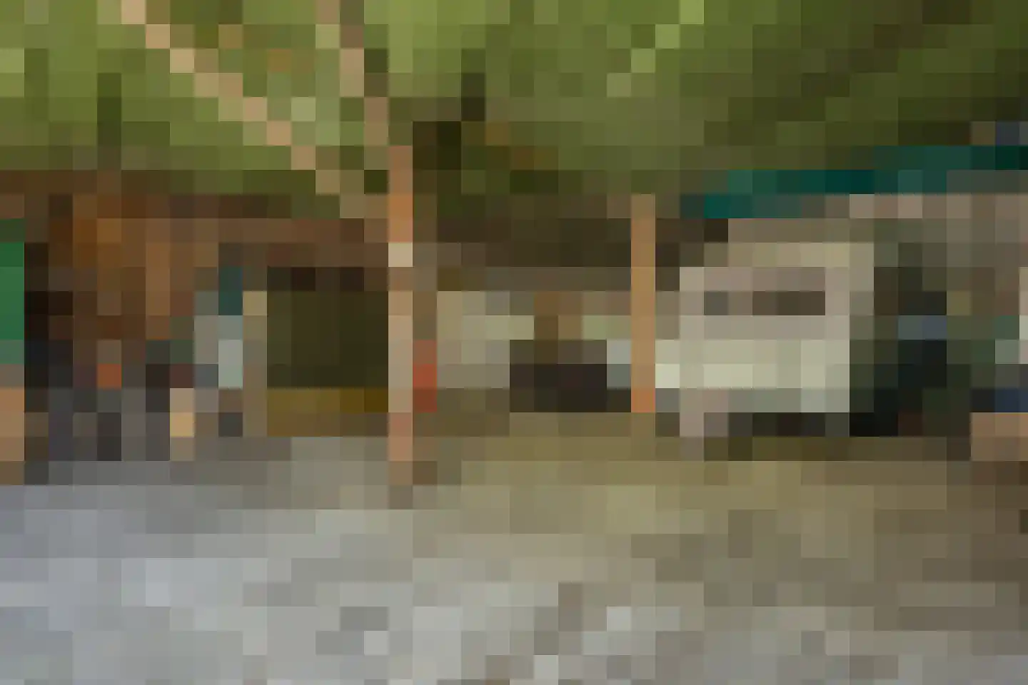 Diphoorn 3 Diphoorn thumbnail 52