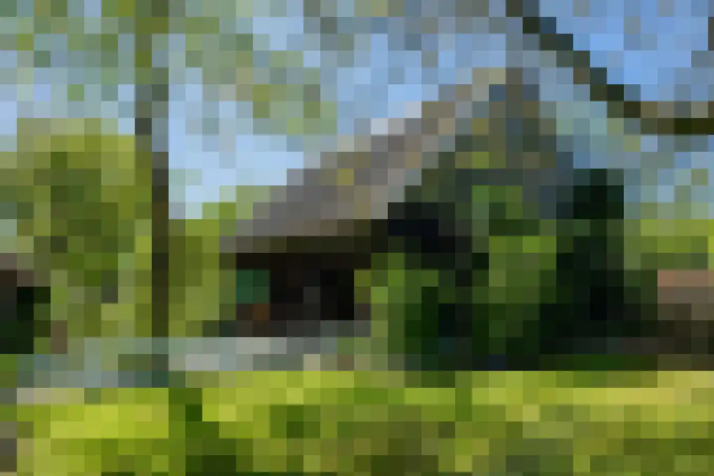 Diphoorn 3 Diphoorn thumbnail 53
