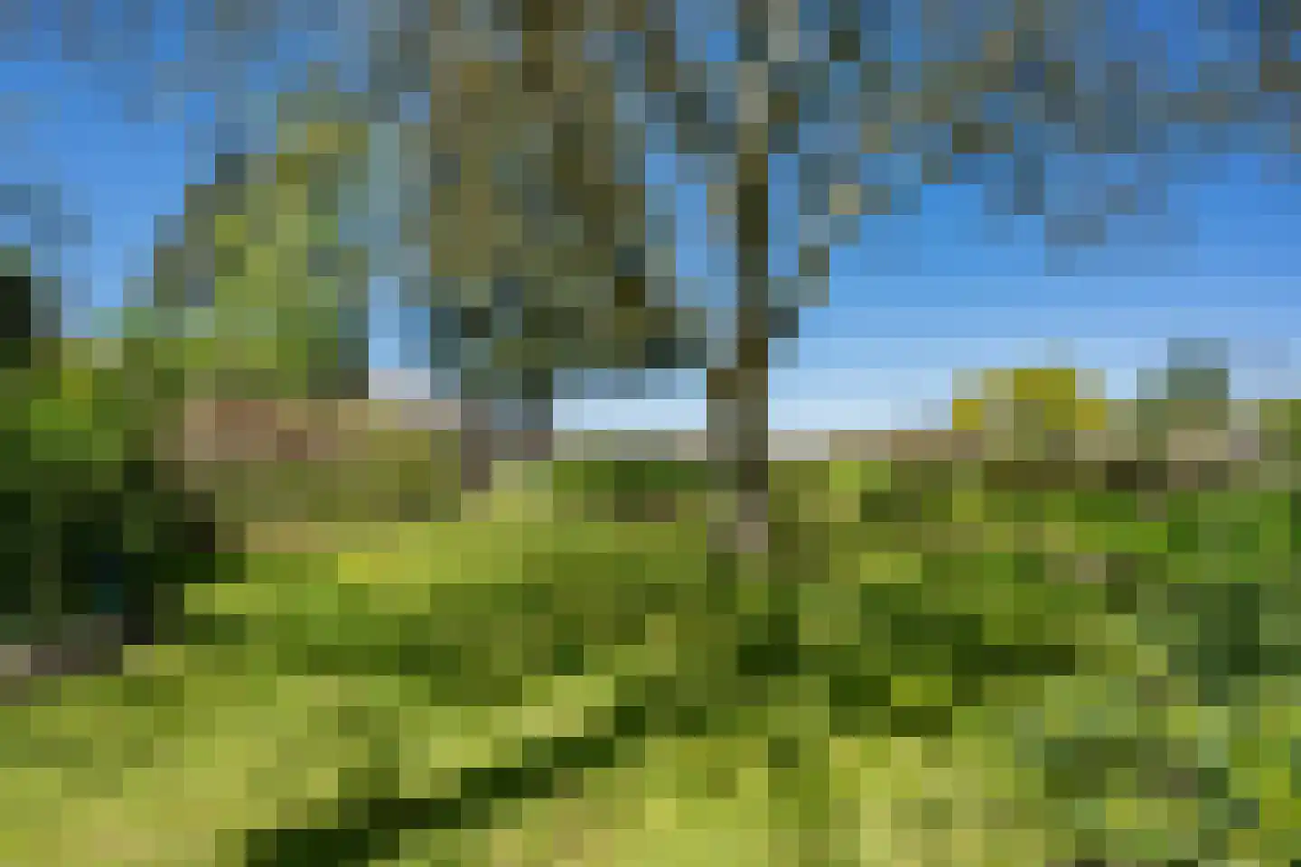 Diphoorn 3 Diphoorn thumbnail 54