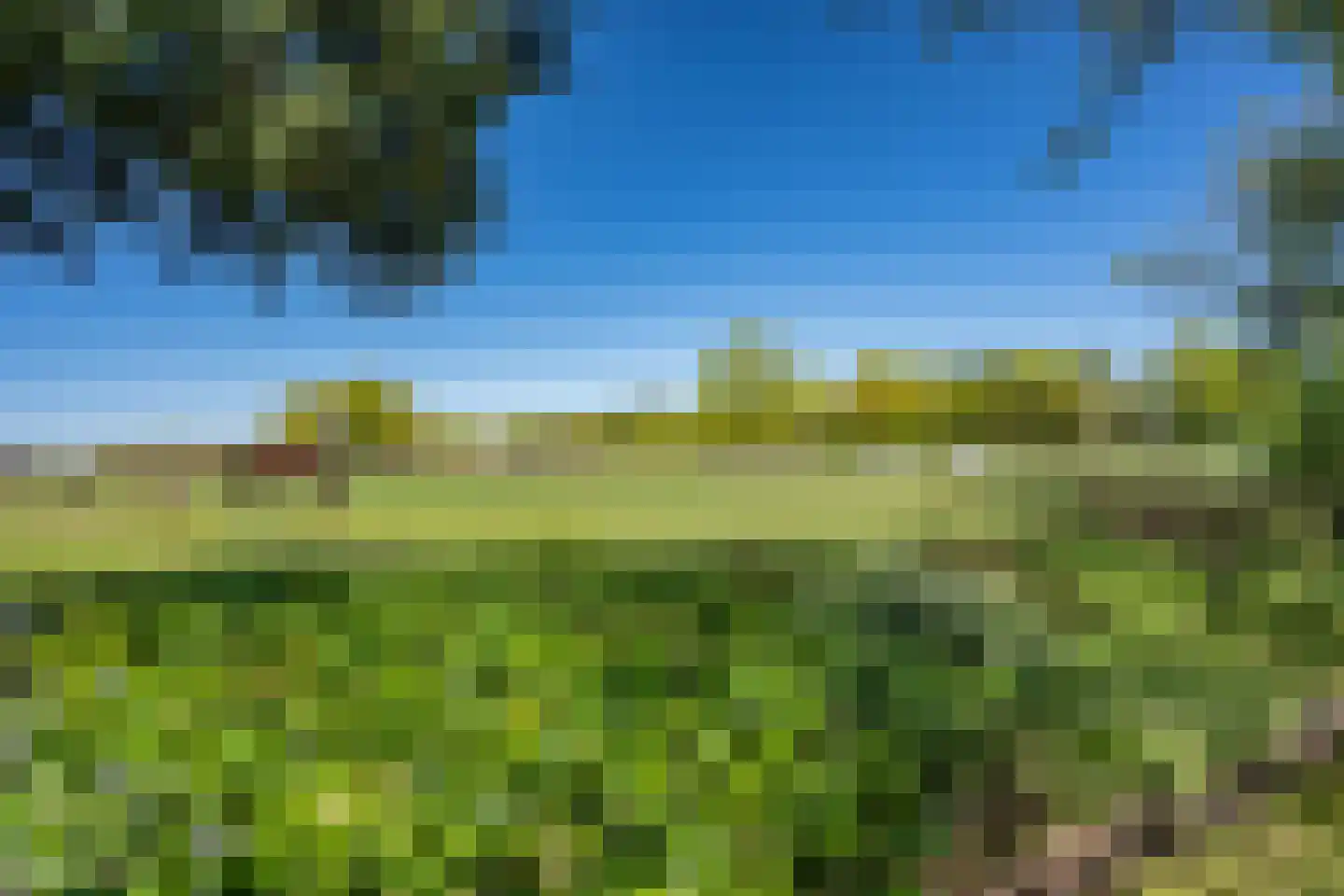Diphoorn 3 Diphoorn thumbnail 55