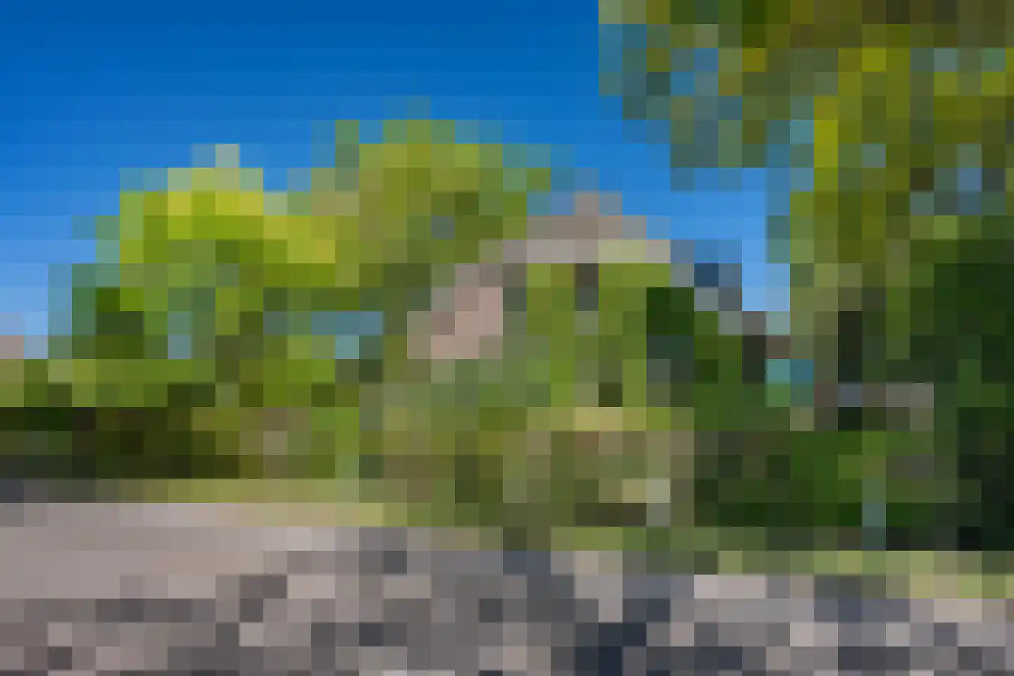 Diphoorn 3 Diphoorn thumbnail 57