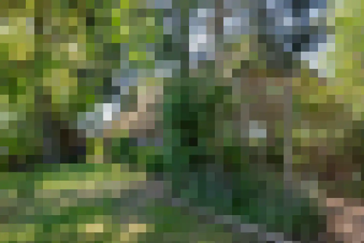 Diphoorn 3 Diphoorn thumbnail 59