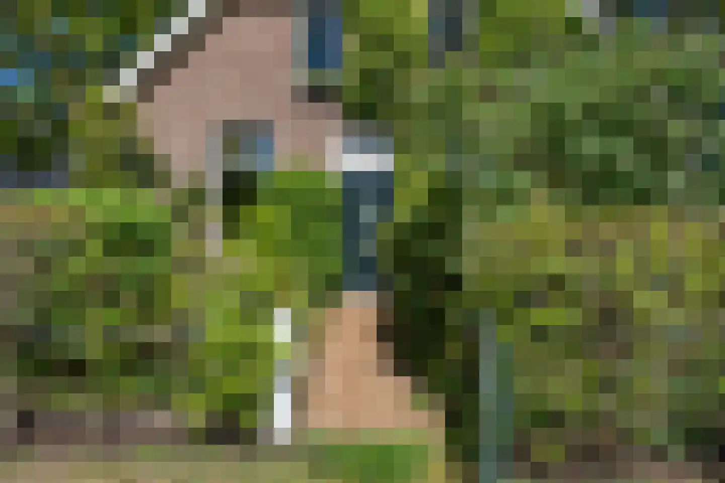 Diphoorn 3 Diphoorn thumbnail 6